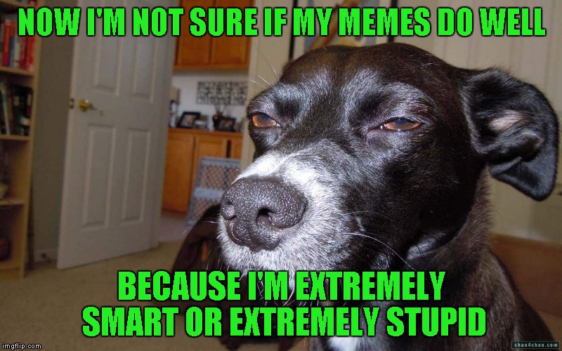 NOW I'M NOT SURE IF MY MEMES DO WELL BECAUSE I'M EXTREMELY SMART OR EXTREMELY STUPID | made w/ Imgflip meme maker