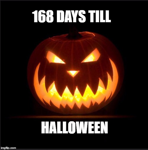 halloween | 168 DAYS TILL; HALLOWEEN | image tagged in halloween | made w/ Imgflip meme maker