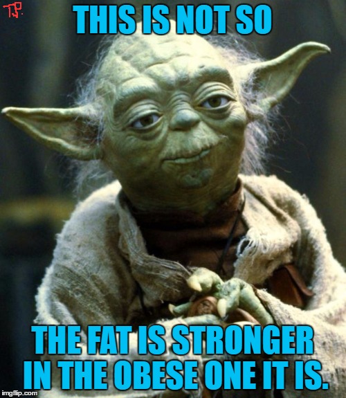 Star Wars Yoda Meme | THIS IS NOT SO THE FAT IS STRONGER IN THE OBESE ONE IT IS. | image tagged in memes,star wars yoda | made w/ Imgflip meme maker