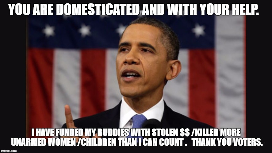 State of the Union | YOU ARE DOMESTICATED AND WITH YOUR HELP. I HAVE FUNDED MY BUDDIES WITH STOLEN $$ /KILLED MORE UNARMED WOMEN /CHILDREN THAN I CAN COUNT .   THANK YOU VOTERS. | image tagged in state of the union | made w/ Imgflip meme maker