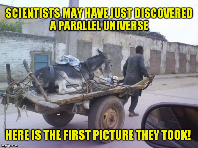 The first picture of a Parallel Universe just in! |  SCIENTISTS MAY HAVE JUST DISCOVERED A PARALLEL UNIVERSE; HERE IS THE FIRST PICTURE THEY TOOK! | image tagged in parallel universe guy,universe,science,funny meme,joke | made w/ Imgflip meme maker