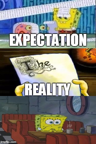 an Authors-bane!!! | EXPECTATION; REALITY | image tagged in spongebob,expectation vs reality,so true,memes | made w/ Imgflip meme maker