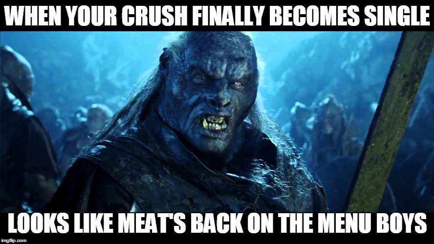 Back on the Menu | WHEN YOUR CRUSH FINALLY BECOMES SINGLE; LOOKS LIKE MEAT'S BACK ON THE MENU BOYS | image tagged in lord of the rings | made w/ Imgflip meme maker
