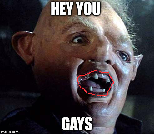 sloth | HEY YOU; GAYS | image tagged in troll,sloth | made w/ Imgflip meme maker