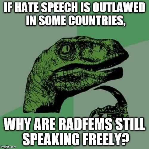 Philosoraptor Meme | IF HATE SPEECH IS OUTLAWED IN SOME COUNTRIES, WHY ARE RADFEMS STILL SPEAKING FREELY? | image tagged in memes,philosoraptor | made w/ Imgflip meme maker