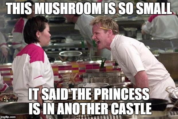 Gordon Ramsey | THIS MUSHROOM IS SO SMALL; IT SAID THE PRINCESS IS IN ANOTHER CASTLE | image tagged in gordon ramsey | made w/ Imgflip meme maker