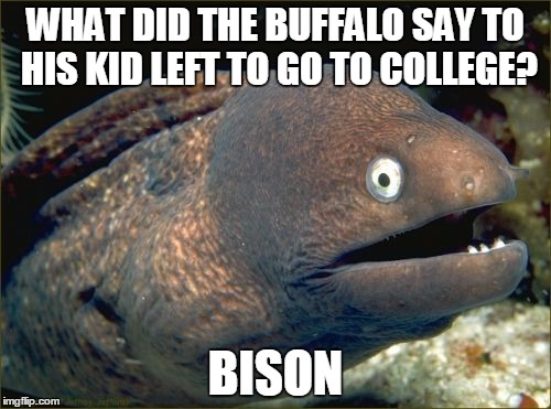Bad Joke Eel | WHAT DID THE BUFFALO SAY TO HIS KID LEFT TO GO TO COLLEGE? BISON | image tagged in memes,bad joke eel | made w/ Imgflip meme maker