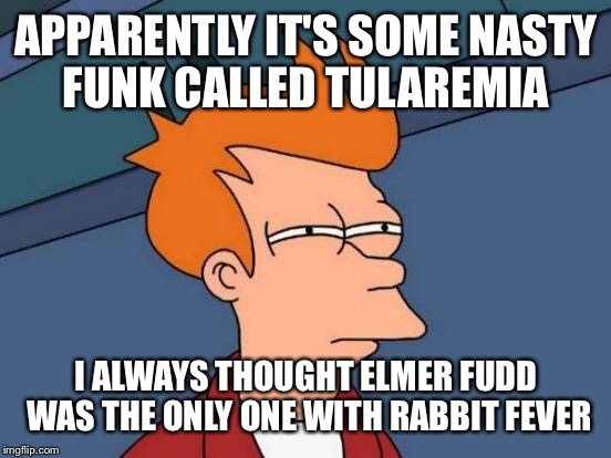 Futurama Fry Meme | APPARENTLY IT'S SOME NASTY FUNK CALLED TULAREMIA I ALWAYS THOUGHT ELMER FUDD WAS THE ONLY ONE WITH RABBIT FEVER | image tagged in memes,futurama fry | made w/ Imgflip meme maker