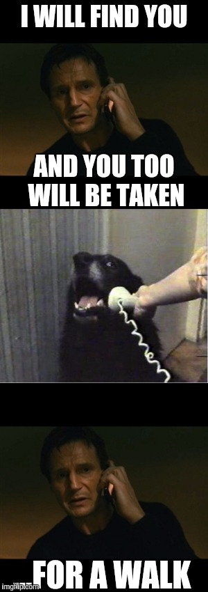 Canines Love Obductions | I WILL FIND YOU; AND YOU TOO WILL BE TAKEN; ...FOR A WALK | image tagged in yes this is dog,liam neeson,memes | made w/ Imgflip meme maker