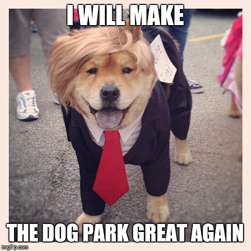 I WILL MAKE; THE DOG PARK GREAT AGAIN | image tagged in donald trump,doge,funny memes | made w/ Imgflip meme maker