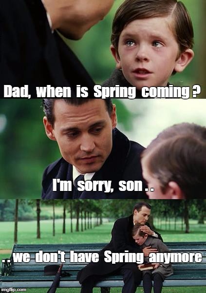 Finding Neverland Meme | Dad,  when  is  Spring  coming ? I'm  sorry,  son . . . . we  don't  have  Spring  anymore | image tagged in memes,finding neverland | made w/ Imgflip meme maker