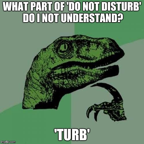Philosoraptor | WHAT PART OF 'DO NOT DISTURB' DO I NOT UNDERSTAND? 'TURB' | image tagged in memes,philosoraptor | made w/ Imgflip meme maker
