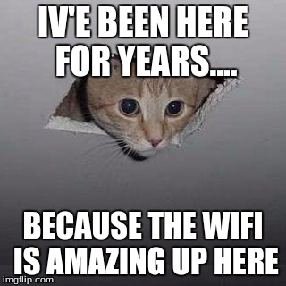 Ceiling Cat Meme | IV'E BEEN HERE FOR YEARS.... BECAUSE THE WIFI IS AMAZING UP HERE | image tagged in memes,ceiling cat | made w/ Imgflip meme maker