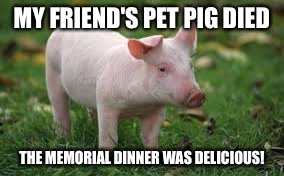 Memorial Dinner | MY FRIEND'S PET PIG DIED; THE MEMORIAL DINNER WAS DELICIOUS! | image tagged in pig memorial,baby pig,delicious,died,pet pig,pet | made w/ Imgflip meme maker