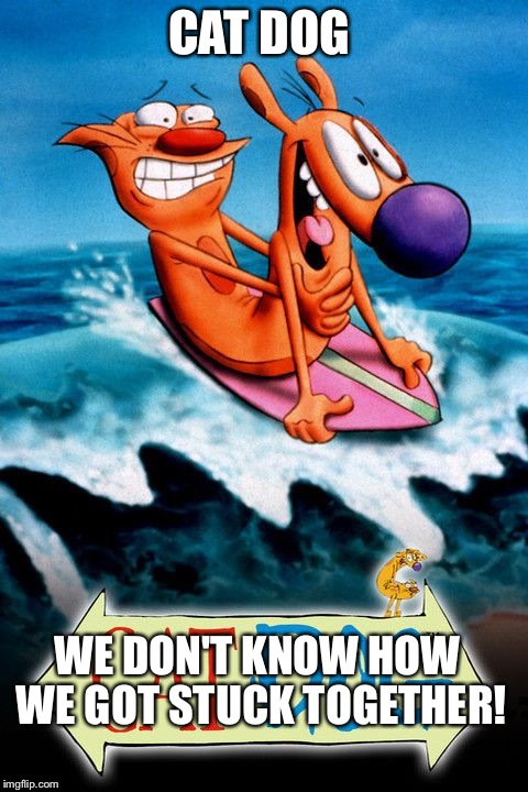 catdog | CAT DOG; WE DON'T KNOW HOW WE GOT STUCK TOGETHER! | image tagged in catdog | made w/ Imgflip meme maker