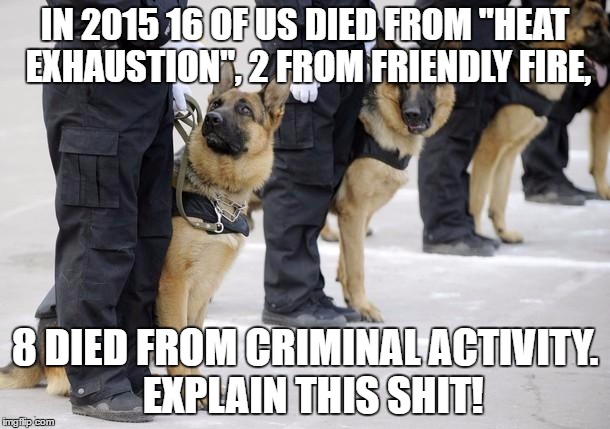 police dogs | IN 2015 16 OF US DIED FROM "HEAT EXHAUSTION", 2 FROM FRIENDLY FIRE, 8 DIED FROM CRIMINAL ACTIVITY. 
EXPLAIN THIS SHIT! | image tagged in police dogs | made w/ Imgflip meme maker