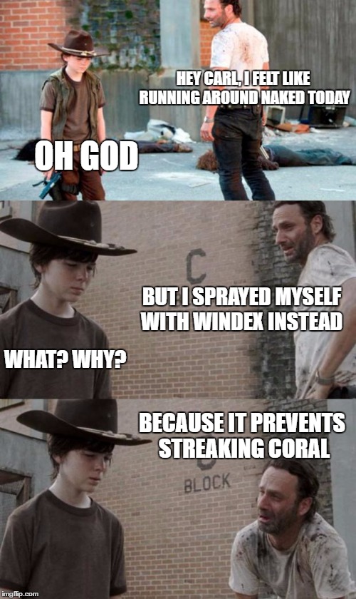 Rick and Carl 3 Meme | HEY CARL, I FELT LIKE RUNNING AROUND NAKED TODAY; OH GOD; BUT I SPRAYED MYSELF WITH WINDEX INSTEAD; WHAT? WHY? BECAUSE IT PREVENTS STREAKING CORAL | image tagged in memes,rick and carl 3,HeyCarl | made w/ Imgflip meme maker
