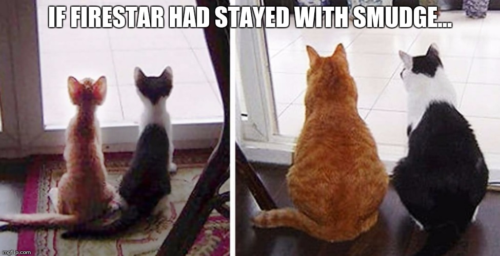 fat cats | IF FIRESTAR HAD STAYED WITH SMUDGE... | image tagged in fat cats | made w/ Imgflip meme maker