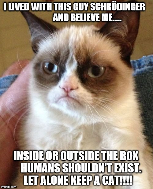 I left you something in the box! Enjoy! | I LIVED WITH THIS GUY SCHRÖDINGER

 











AND BELIEVE ME..... INSIDE OR OUTSIDE THE BOX
   
HUMANS SHOULDN'T EXIST. LET ALONE KEEP A CAT!!!! | image tagged in grumpy cat,schrodinger,funny memes,memes,funny animals | made w/ Imgflip meme maker