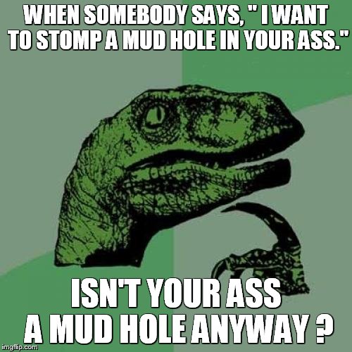 Philosoraptor Meme | WHEN SOMEBODY SAYS, " I WANT TO STOMP A MUD HOLE IN YOUR ASS."; ISN'T YOUR ASS A MUD HOLE ANYWAY ? | image tagged in memes,philosoraptor | made w/ Imgflip meme maker