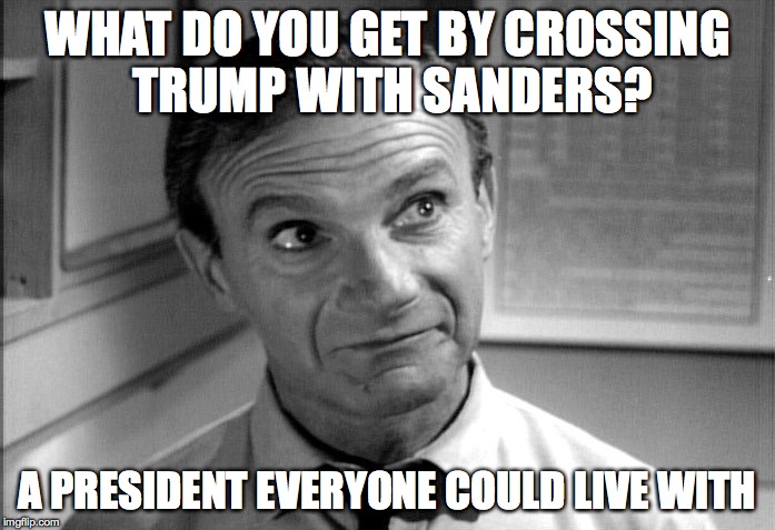 Seeking the Middle Ground | WHAT DO YOU GET BY CROSSING TRUMP WITH SANDERS? A PRESIDENT EVERYONE COULD LIVE WITH | image tagged in donald trump,bernie sanders,campaign 2016 candidate camera,democrat,republican | made w/ Imgflip meme maker