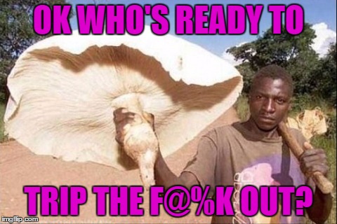 OK WHO'S READY TO TRIP THE F@%K OUT? | made w/ Imgflip meme maker