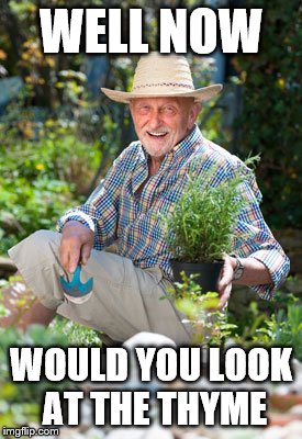 Herb's in the garden | WELL NOW; WOULD YOU LOOK AT THE THYME | image tagged in herb in the garden,memes,funny,gardening,old people,bad pun | made w/ Imgflip meme maker