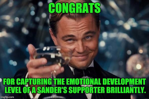 Leonardo Dicaprio Cheers Meme | CONGRATS FOR CAPTURING THE EMOTIONAL DEVELOPMENT LEVEL OF A SANDER'S SUPPORTER BRILLIANTLY. | image tagged in memes,leonardo dicaprio cheers | made w/ Imgflip meme maker