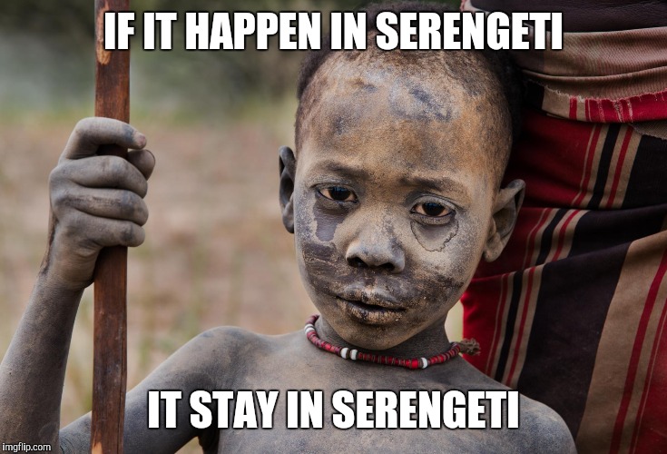 IF IT HAPPEN IN SERENGETI IT STAY IN SERENGETI | made w/ Imgflip meme maker