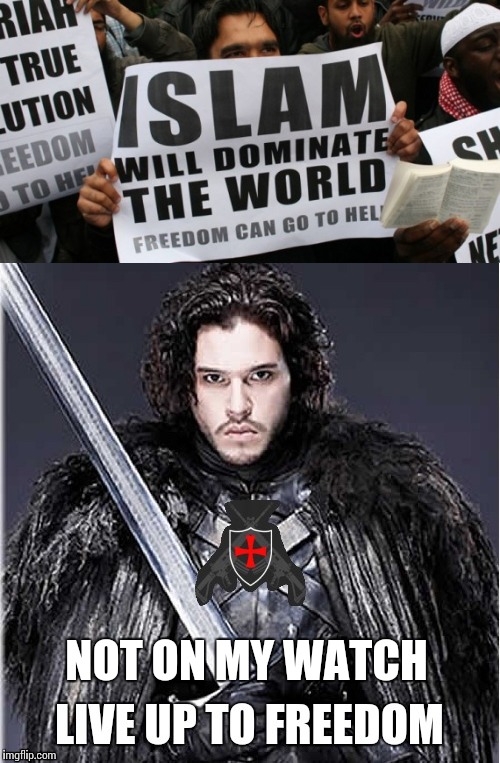 Freedom fighter | NOT ON MY WATCH | image tagged in memes,jon snow | made w/ Imgflip meme maker