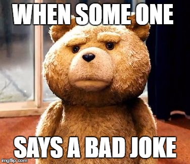 TED Meme | WHEN SOME ONE; SAYS A BAD JOKE | image tagged in memes,ted | made w/ Imgflip meme maker