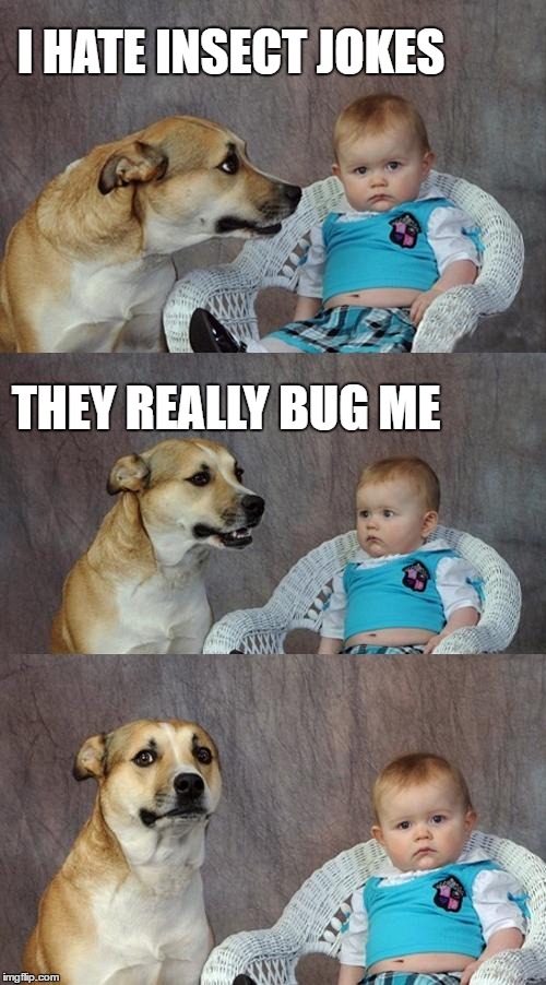 Dad Joke Dog | I HATE INSECT JOKES; THEY REALLY BUG ME | image tagged in memes,dad joke dog | made w/ Imgflip meme maker