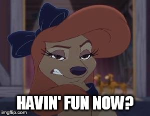 Havin' Fun Now? |  HAVIN' FUN NOW? | image tagged in dixie means business,memes,the fox and the hound 2,reba mcentire,dog | made w/ Imgflip meme maker
