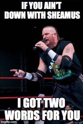 IF YOU AIN'T DOWN WITH SHEAMUS; I GOT TWO WORDS FOR YOU | image tagged in road dogg | made w/ Imgflip meme maker