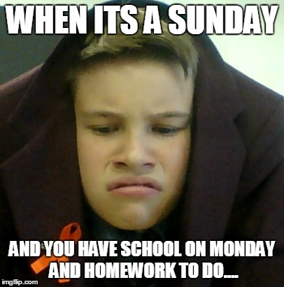 When its Sunday | WHEN ITS A SUNDAY; AND YOU HAVE SCHOOL ON MONDAY AND HOMEWORK TO DO.... | image tagged in sunday,homework,school,to do,when | made w/ Imgflip meme maker