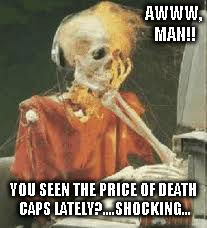 Skeleton Waiting | AWWW, MAN!! YOU SEEN THE PRICE OF DEATH CAPS LATELY?....SHOCKING... | image tagged in skeleton waiting | made w/ Imgflip meme maker