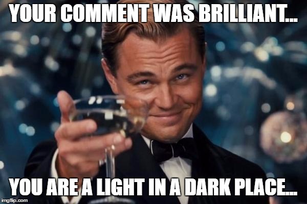 Leonardo Dicaprio Cheers Meme | YOUR COMMENT WAS BRILLIANT... YOU ARE A LIGHT IN A DARK PLACE... | image tagged in memes,leonardo dicaprio cheers | made w/ Imgflip meme maker