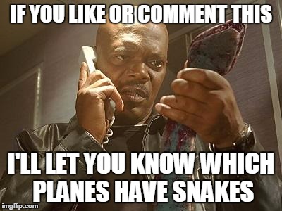 Are you in an airport right now? | IF YOU LIKE OR COMMENT THIS; I'LL LET YOU KNOW WHICH PLANES HAVE SNAKES | image tagged in snakes on a plane,plan,ruin | made w/ Imgflip meme maker