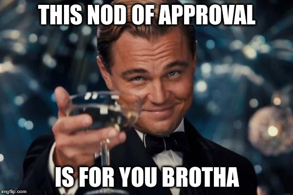 Leonardo Dicaprio Cheers Meme | THIS NOD OF APPROVAL; IS FOR YOU BROTHA | image tagged in memes,leonardo dicaprio cheers | made w/ Imgflip meme maker