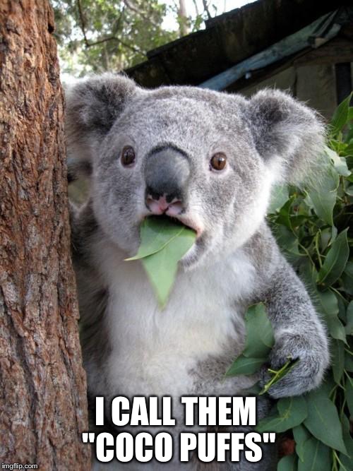 Surprised Koala Meme | I CALL THEM "COCO PUFFS" | image tagged in memes,surprised koala | made w/ Imgflip meme maker