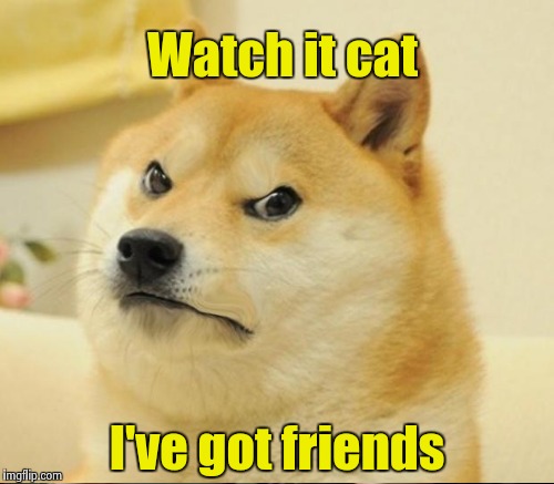 Watch it cat I've got friends | made w/ Imgflip meme maker