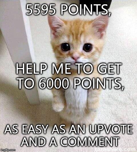 You just have to do something as easy as giving an upvote, and putting a comment. | 5595 POINTS, HELP ME TO GET TO 6000 POINTS, AS EASY AS AN UPVOTE AND A COMMENT | image tagged in memes,cute cat | made w/ Imgflip meme maker