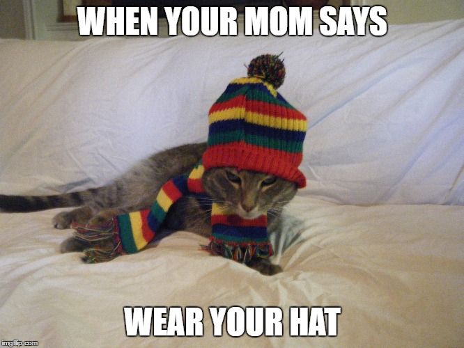 WHEN YOUR MOM SAYS; WEAR YOUR HAT | image tagged in coolcat,whatever,stripeyhat,peoplesuck,why,thatlook | made w/ Imgflip meme maker