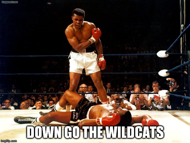 DOWN GO THE WILDCATS | image tagged in asu ua | made w/ Imgflip meme maker