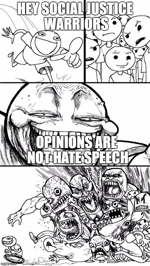 Hey Internet Meme | HEY SOCIAL JUSTICE WARRIORS; OPINIONS ARE NOT HATE SPEECH | image tagged in memes,hey internet | made w/ Imgflip meme maker