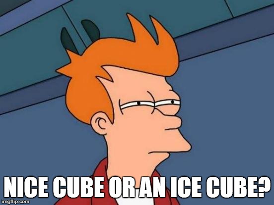 Futurama Fry Meme | NICE CUBE OR AN ICE CUBE? | image tagged in memes,futurama fry | made w/ Imgflip meme maker