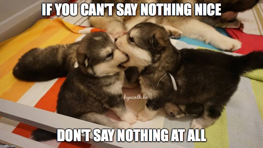 IF YOU CAN'T SAY NOTHING NICE; DON'T SAY NOTHING AT ALL | image tagged in dogs,puppies | made w/ Imgflip meme maker