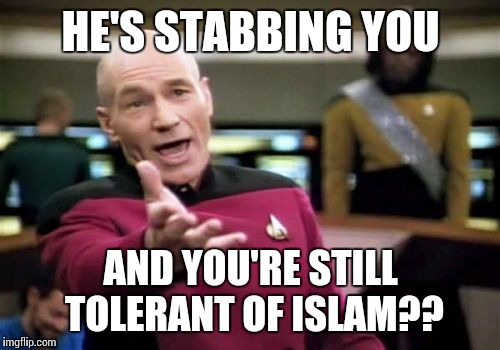 Picard Wtf Meme | HE'S STABBING YOU AND YOU'RE STILL TOLERANT OF ISLAM?? | image tagged in memes,picard wtf | made w/ Imgflip meme maker