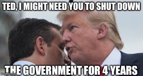 Trump's Plan In A Nutshell | TED, I MIGHT NEED YOU TO SHUT DOWN; THE GOVERNMENT FOR 4 YEARS | image tagged in donald trump | made w/ Imgflip meme maker