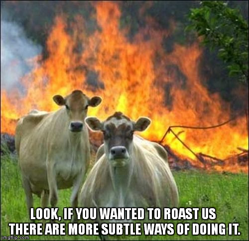Evil Cows | LOOK, IF YOU WANTED TO ROAST US THERE ARE MORE SUBTLE WAYS OF DOING IT. | image tagged in memes,evil cows | made w/ Imgflip meme maker